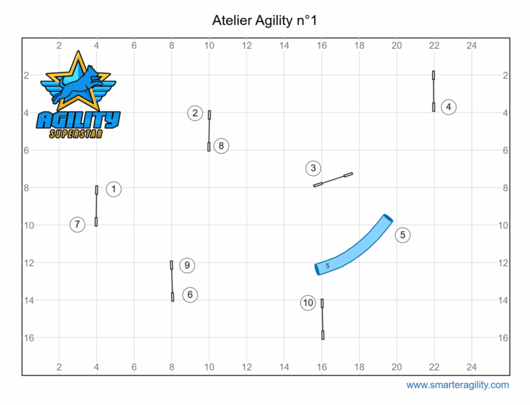 Atelier agility n°1 Entraîne toi avec nous