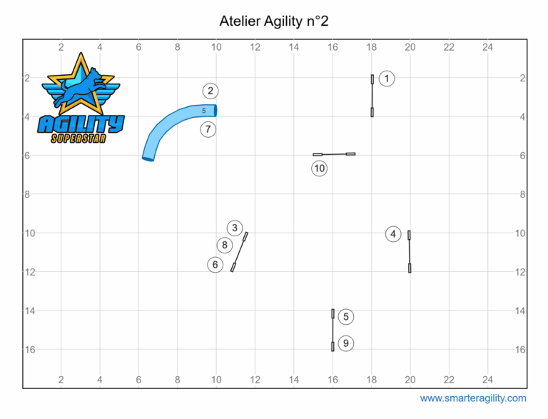 Atelier agility n°2 Entraîne toi avec nous